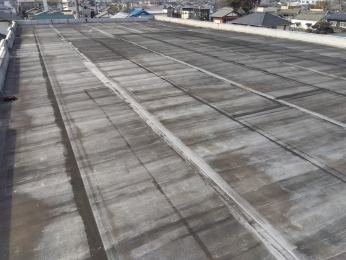 ���n�O�ώʐ^�@����i�B�e��2026�N2��6���j