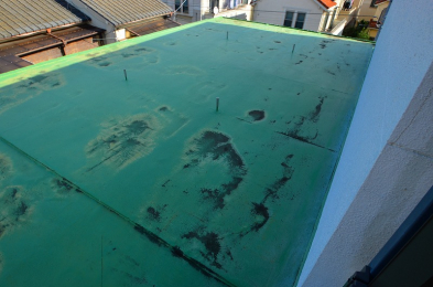 �o���R�j�[�@201�������ニ�[�t�o���R�j�[